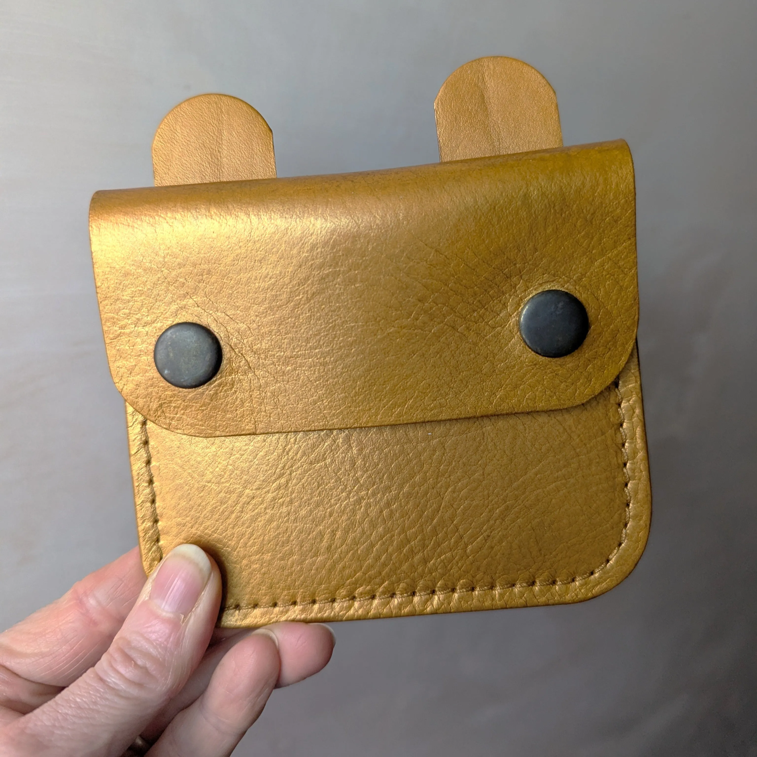 ** SALE ** Tiny Wild Pocket Money Purse