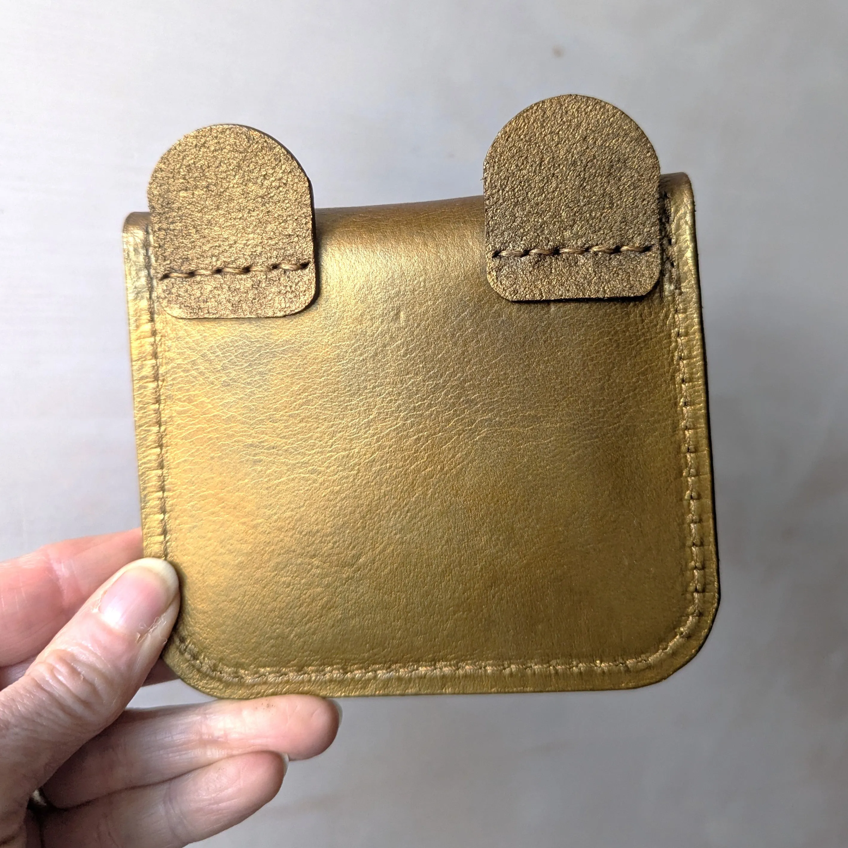 ** SALE ** Tiny Wild Pocket Money Purse