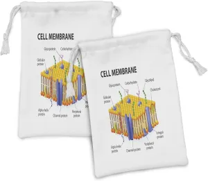Ambesonne Science Fabric Pouch Set of 2, Detailed Diagram of Membrane Cell Structure Types of Protein Molecules, Small Drawstring Bag for Toiletries Masks and Favors, 9" x 6", Yellow Blue Green