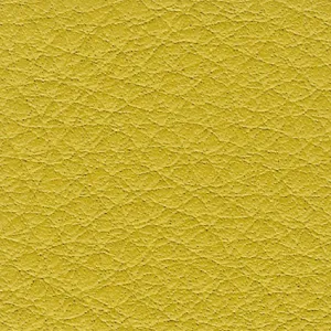 Borea Giallo
