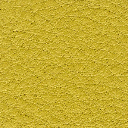 Borea Giallo