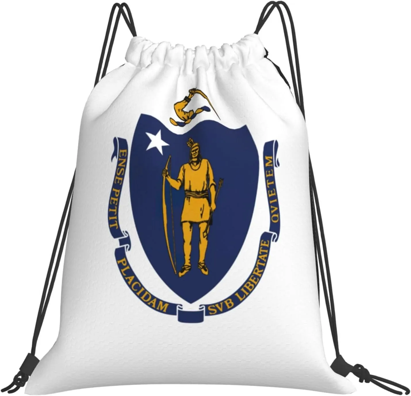 BREAUX Massachusetts State Flag print Leisure drawstring backpack, fitness bag, foldable fit for sports travel and daily use