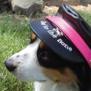DOGG Biker Cap - Magenta - Small