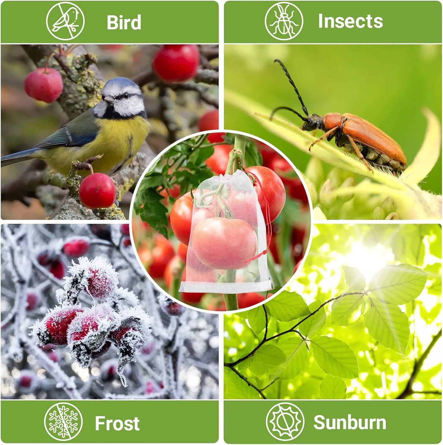 Fruit Protection Bags, 100 Pack 4x6 Inch Garden Netting Pest Barrier, Bug Net Tiny Mesh Bags Drawstring Bird Netting for Garden Plant Seed Fruit Flower Vegetable, Reusable Garden Mesh Netting