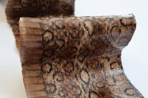 Genuine snake leather hide, thin and glossy, thickness 0,3mm(1 oz)