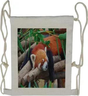 Lunarable Africa Drawstring Backpack, Map Drawn with Exotic Fauna, Sackpack Bag