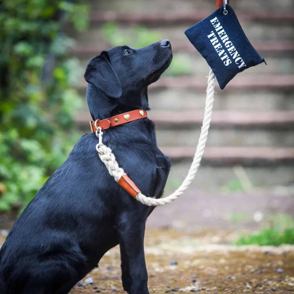 Master Ropemakers X Creature Clothes Leather Handled Rope Dog Lead