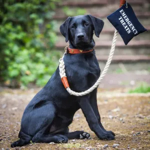 Master Ropemakers X Creature Clothes Leather Handled Rope Dog Lead