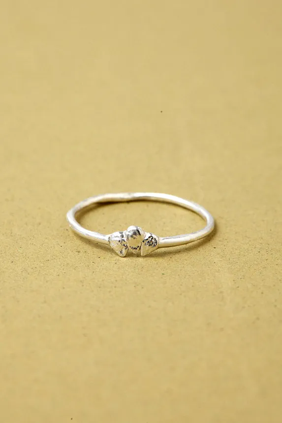 PLANTÓN Tomato Seed Ring