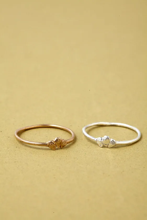 PLANTÓN Tomato Seed Ring